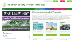 Desktop Screenshot of bspp.org.uk