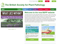 Tablet Screenshot of bspp.org.uk